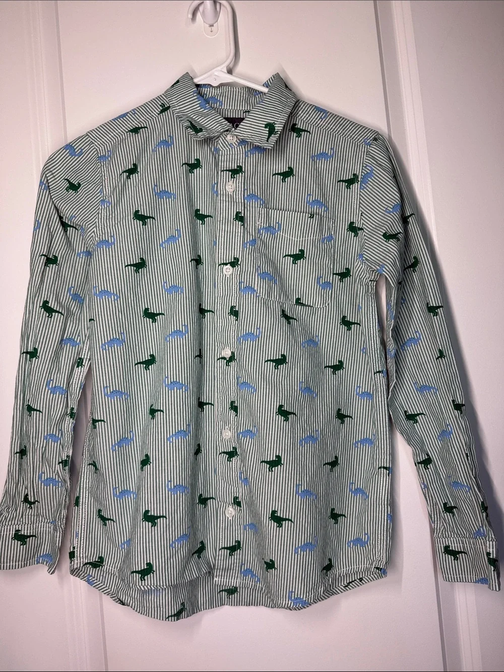 The Children's Place Green & Blue Striped Button-Down Shirt with Dino Print
